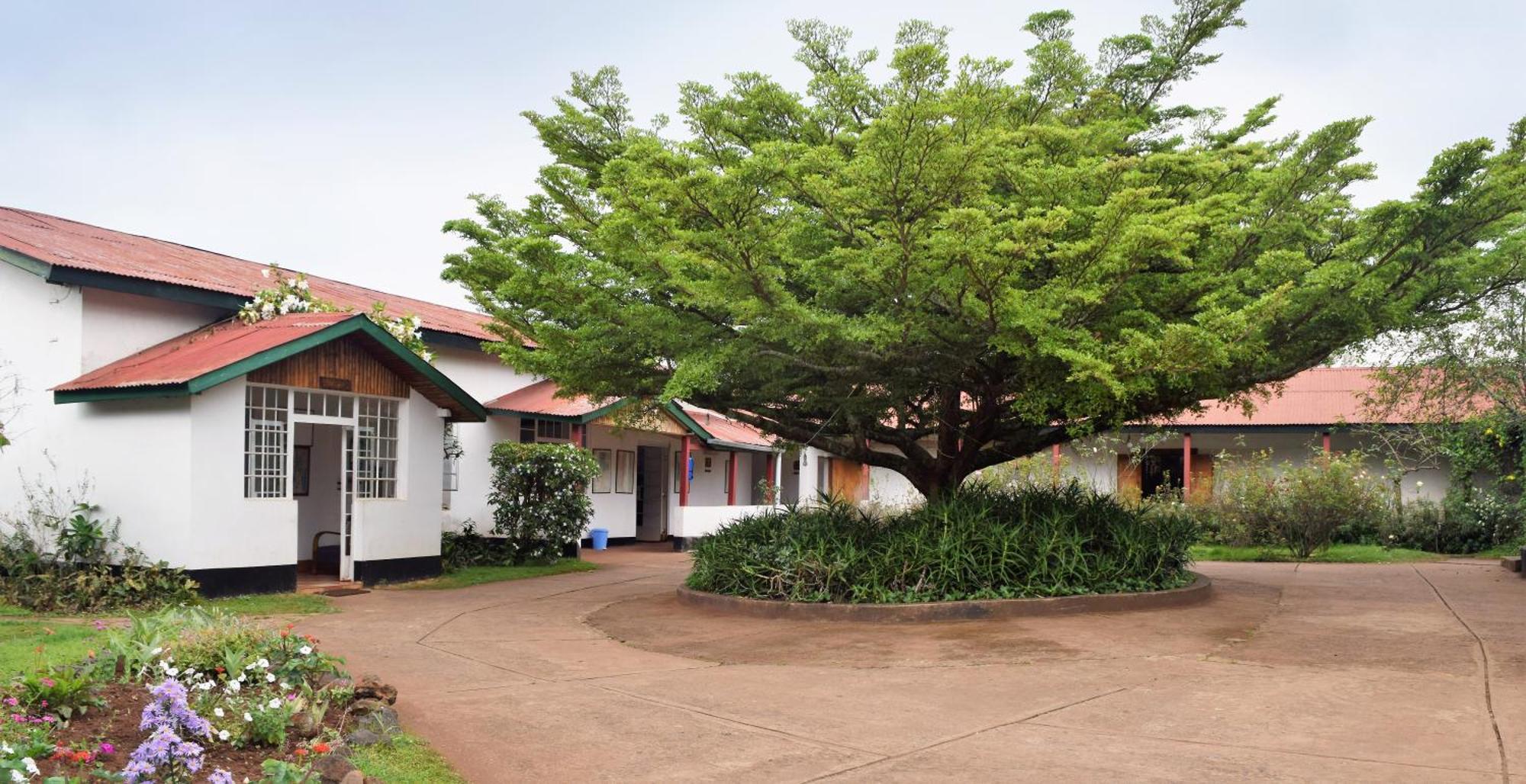 Marangu Hotel エクステリア 写真